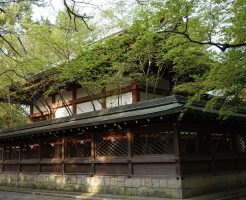 ＜新緑の御霊（上御霊）神社＞（著者撮影）