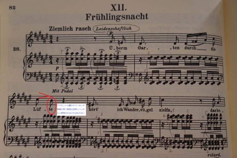 歌曲のレッスンで学んだこと ― レナーテ・ベーレ先生のレッスンに参加して ピアノサロン ミューズの微笑み